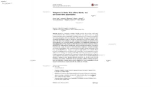 Mangroves in Benin, West Africa: threats, uses and conservation opportunities